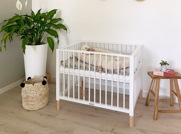 Patte 2.png Patte 2.png